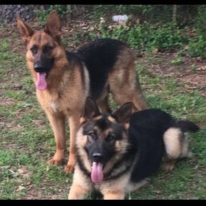 Meet your Posher, Shannon